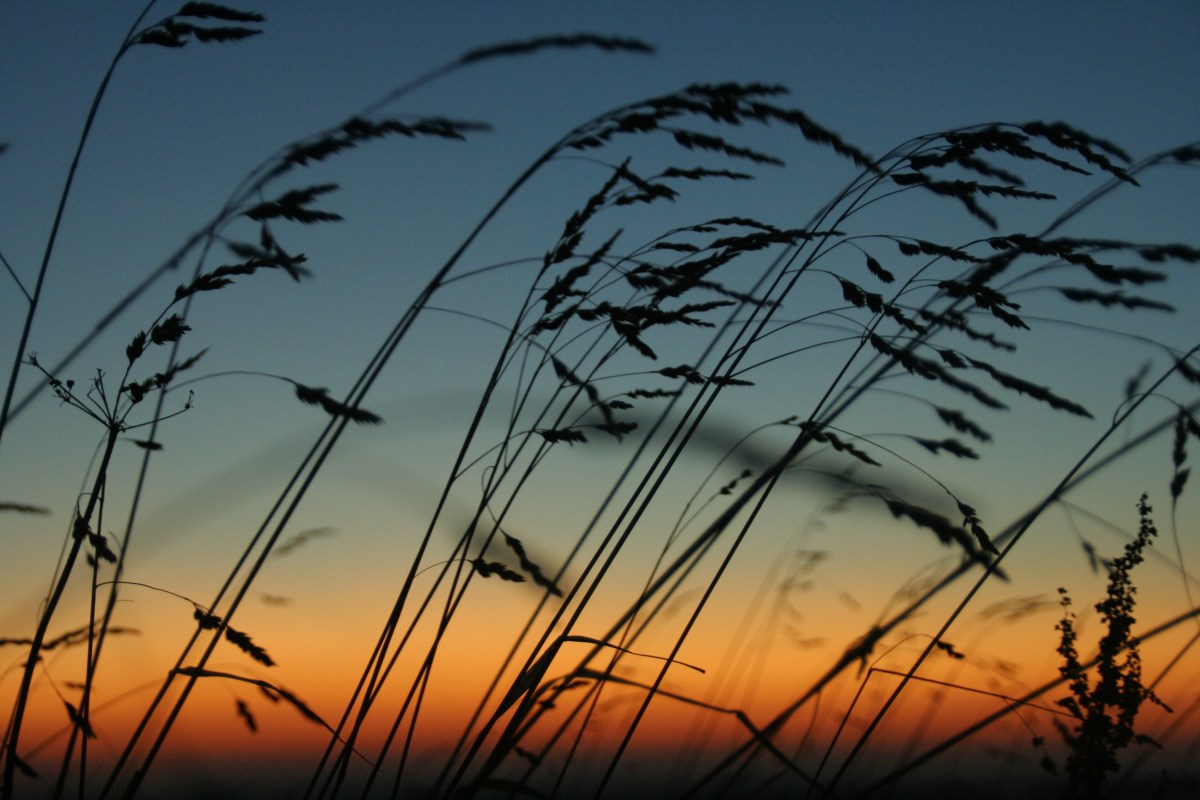 Top for 2013:&nbsp;Blessings