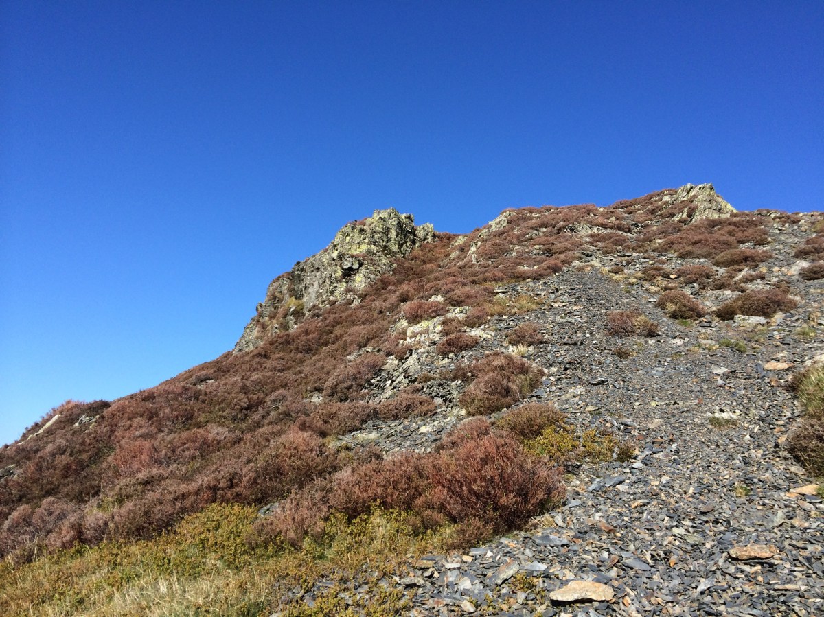 Blessings #199 – My Stories, Our&nbsp;Stories