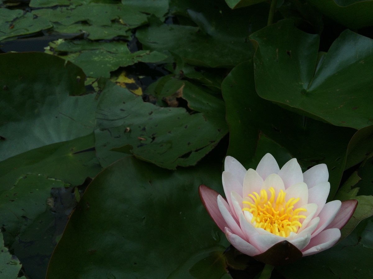 My Stories: £9 or&nbsp;£10