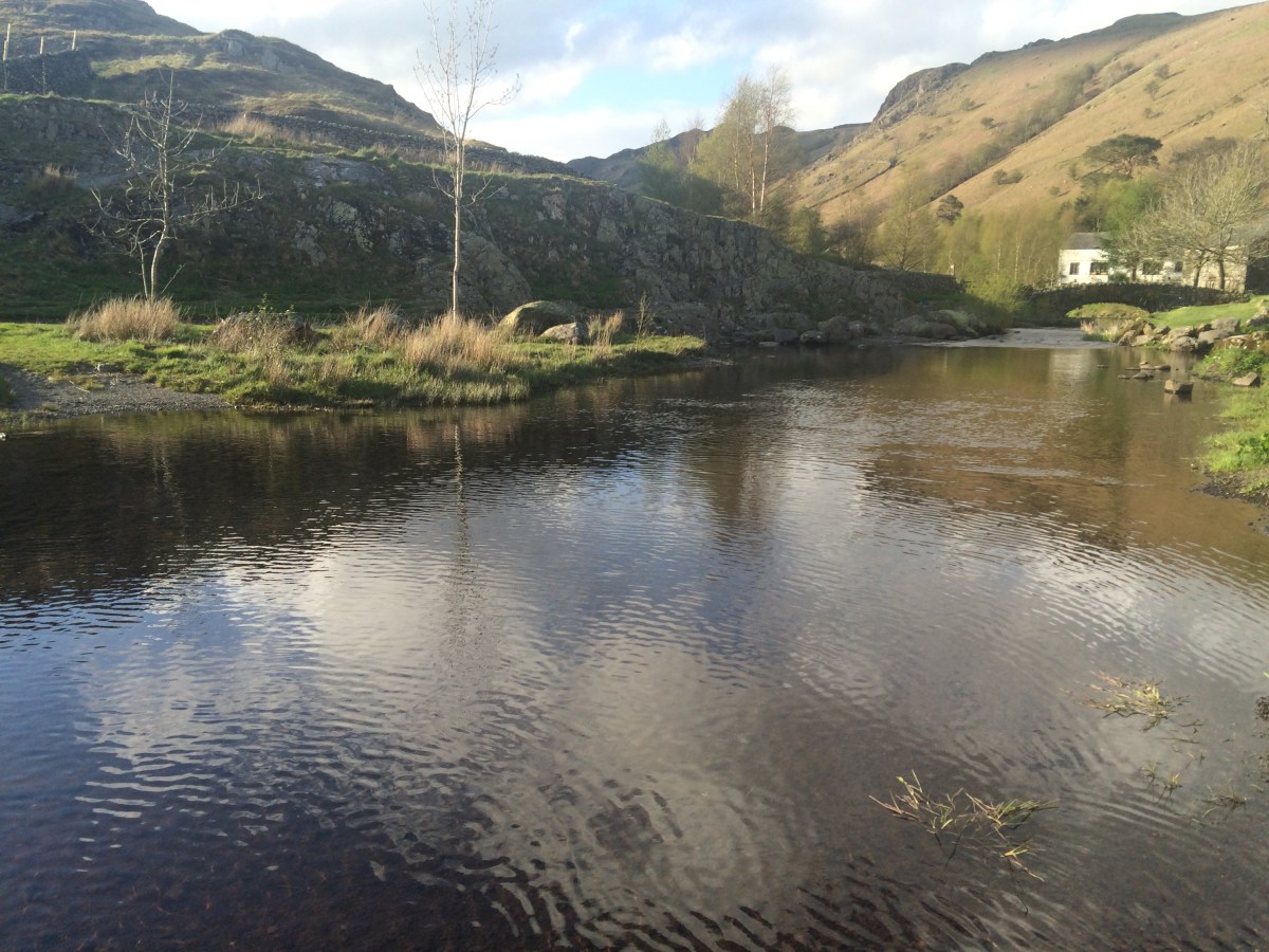 Cognitive Bias: Planning&nbsp;Fallacy