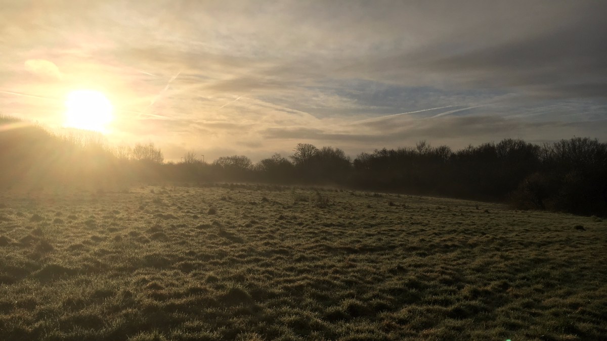 Outsourcing our Brain and the impact of&nbsp;SatNav