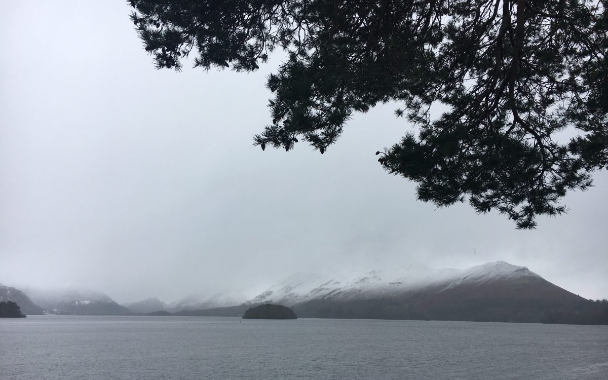 Consumer technology in the business world – today’s&nbsp;example