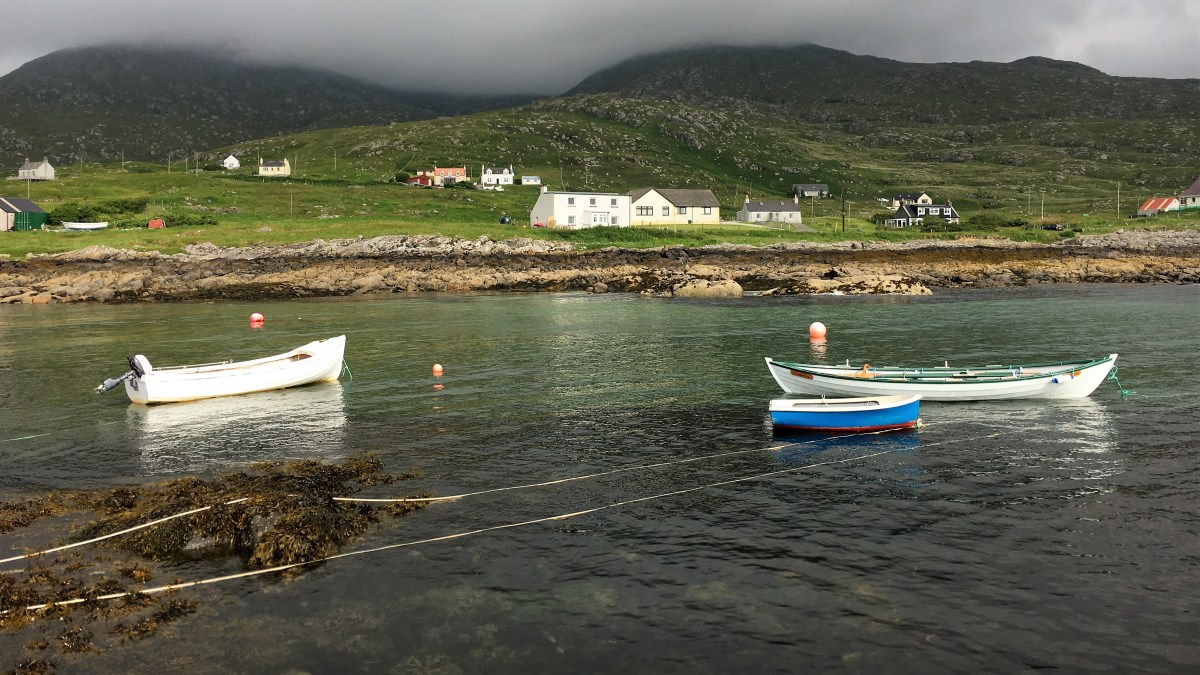 The Huge Failure | Dilbert on Open Plan&nbsp;Offices