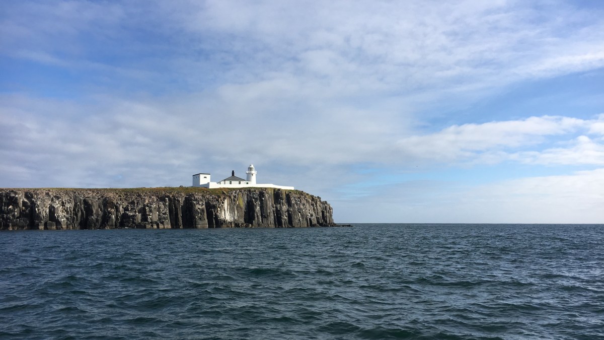 Concept of the Day: The Tragedy of the&nbsp;Commons