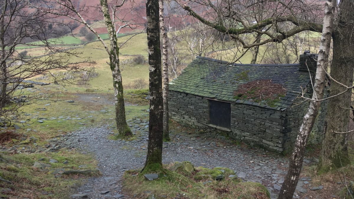 Co-location – the Super Food of&nbsp;Collaboration