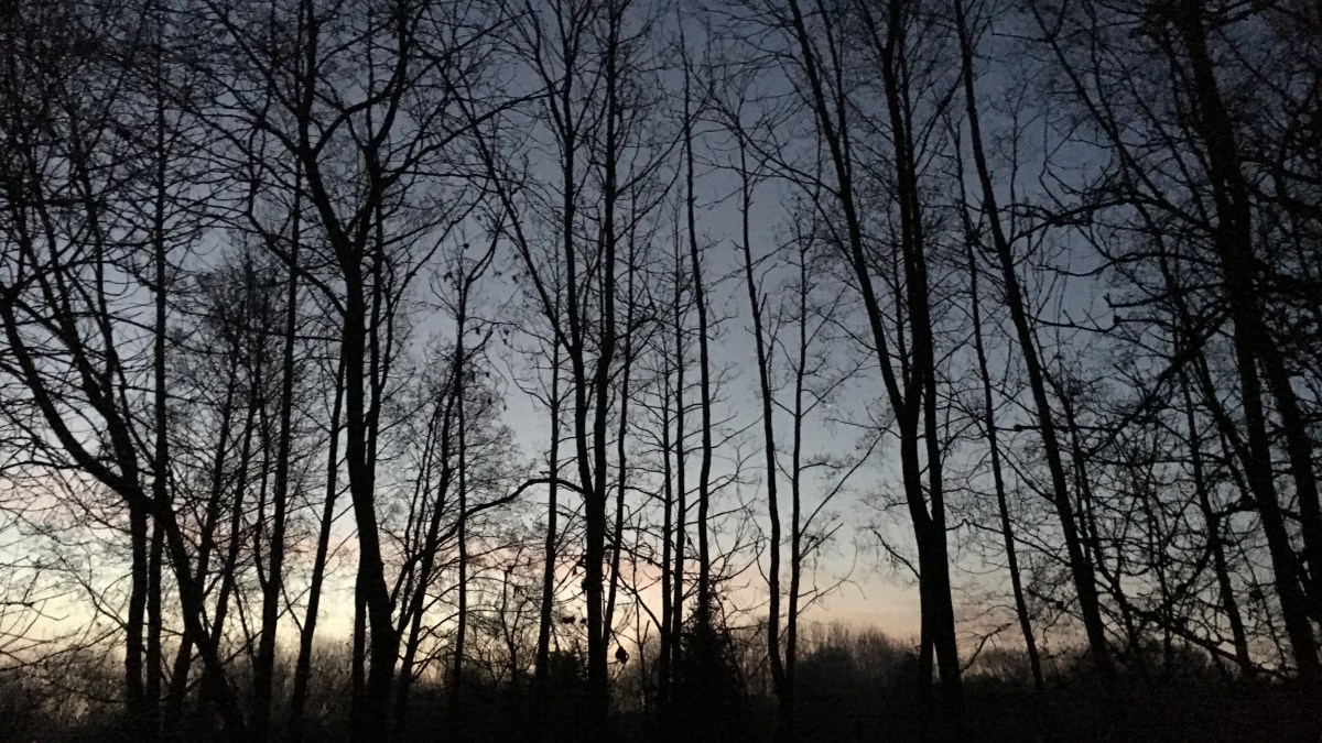 “The question you should be asking&nbsp;is…