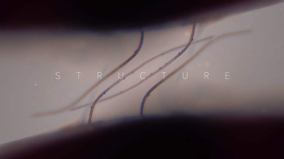 Because it’s Friday: “Structure: A Microscopic Landscape in 4k” by Drew Geraci