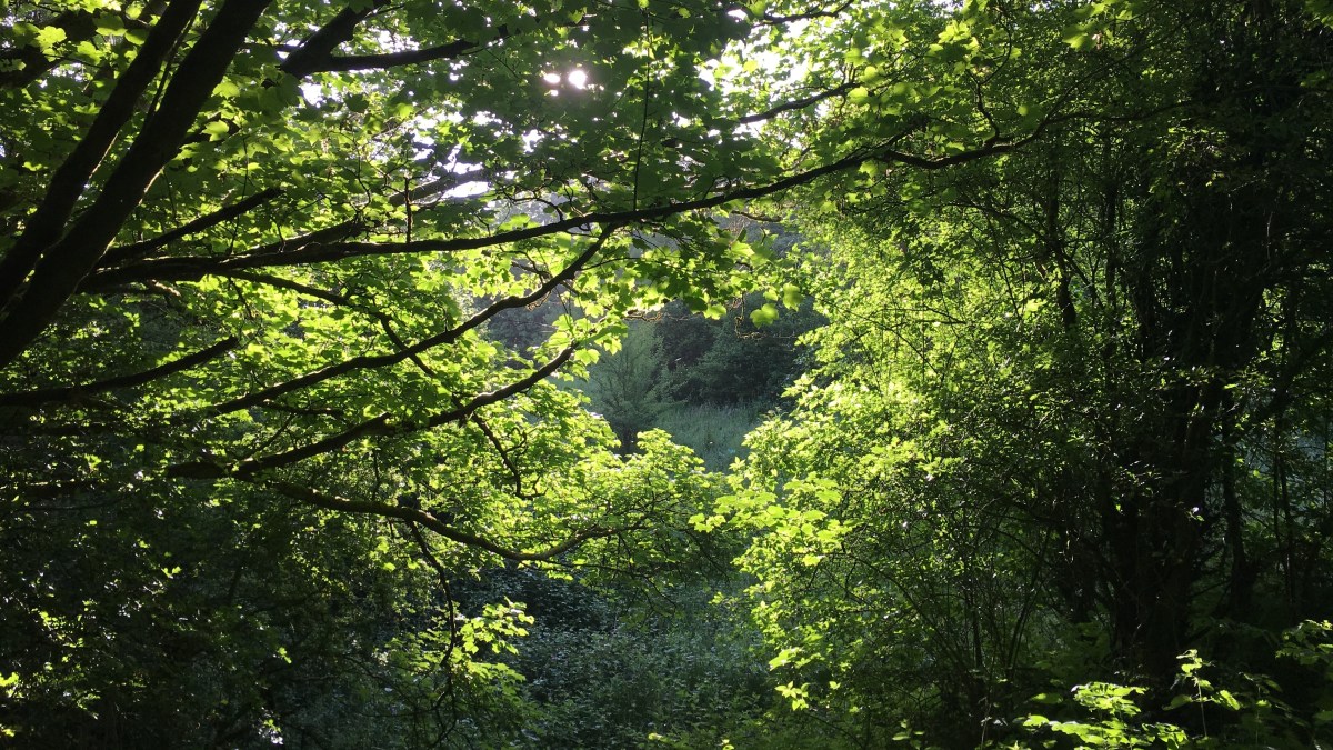 I’m Reading… “The Diary of a Bookseller” by Shaun&nbsp;Bythell