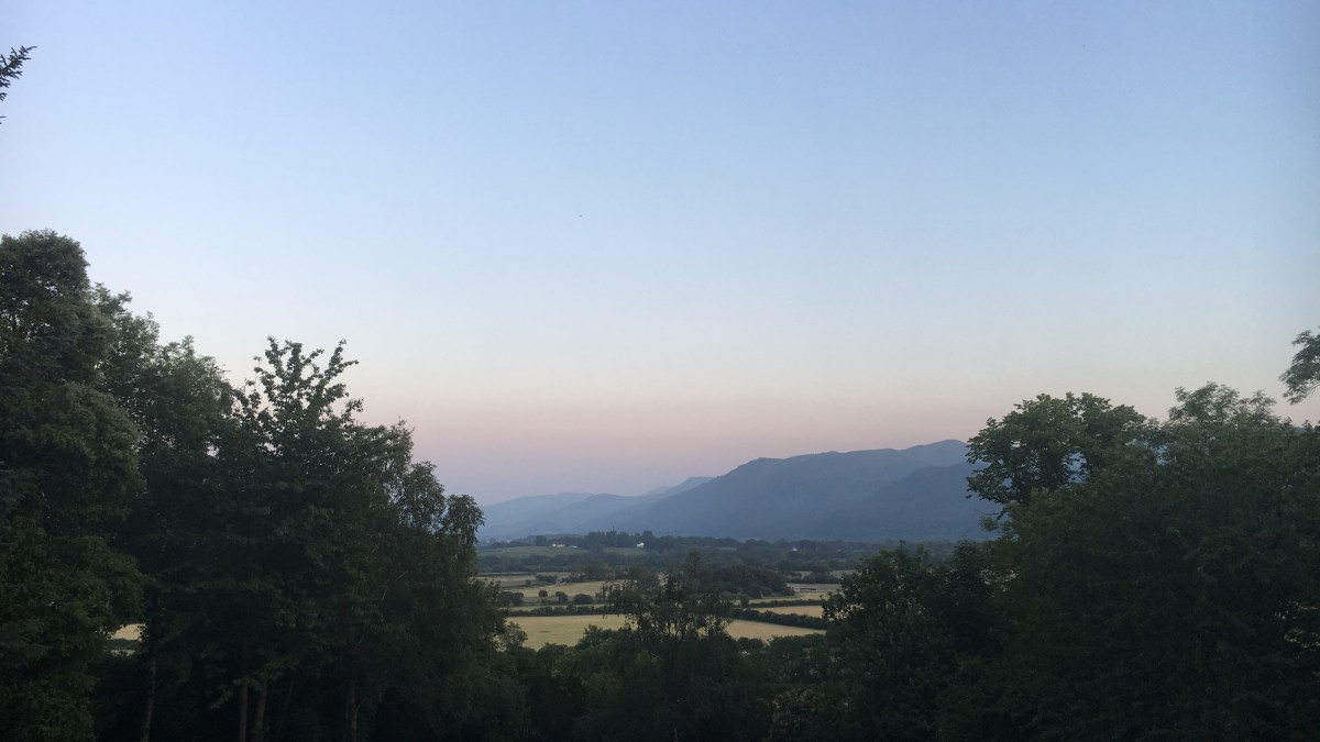 The 7 Personas of the Office Move – Which one are you? Which one am&nbsp;I?