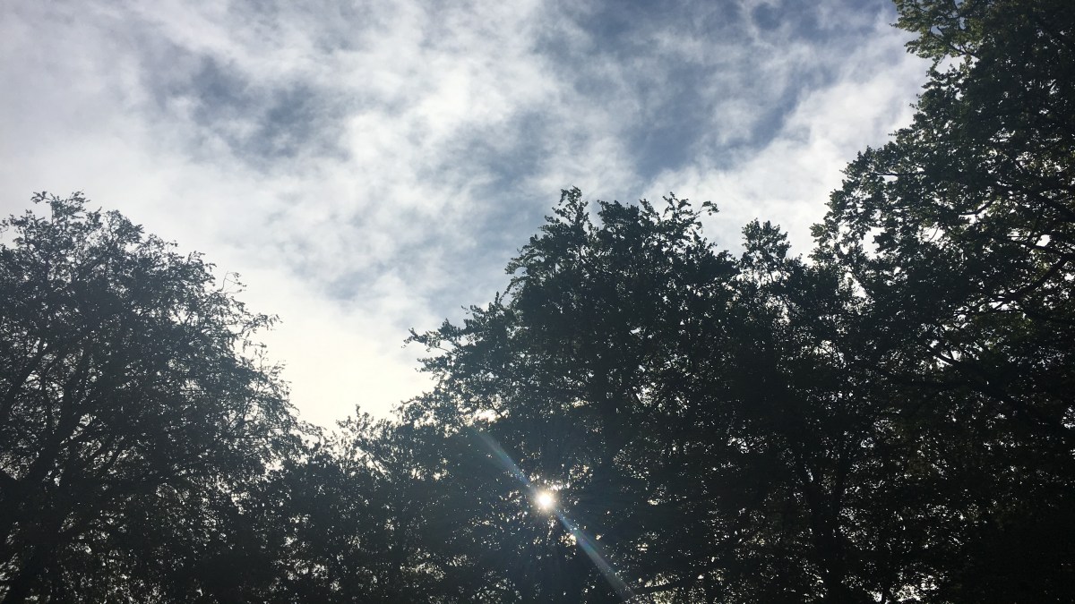 Office Speak: The&nbsp;Tracker