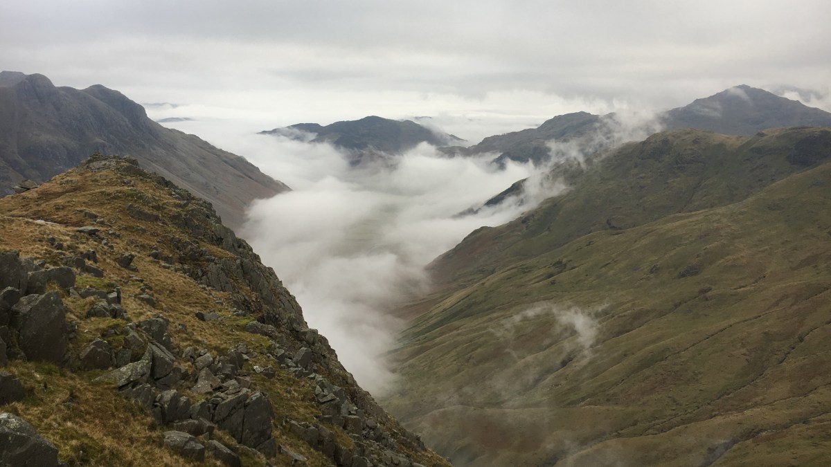 Office Speak: “laser-focused”