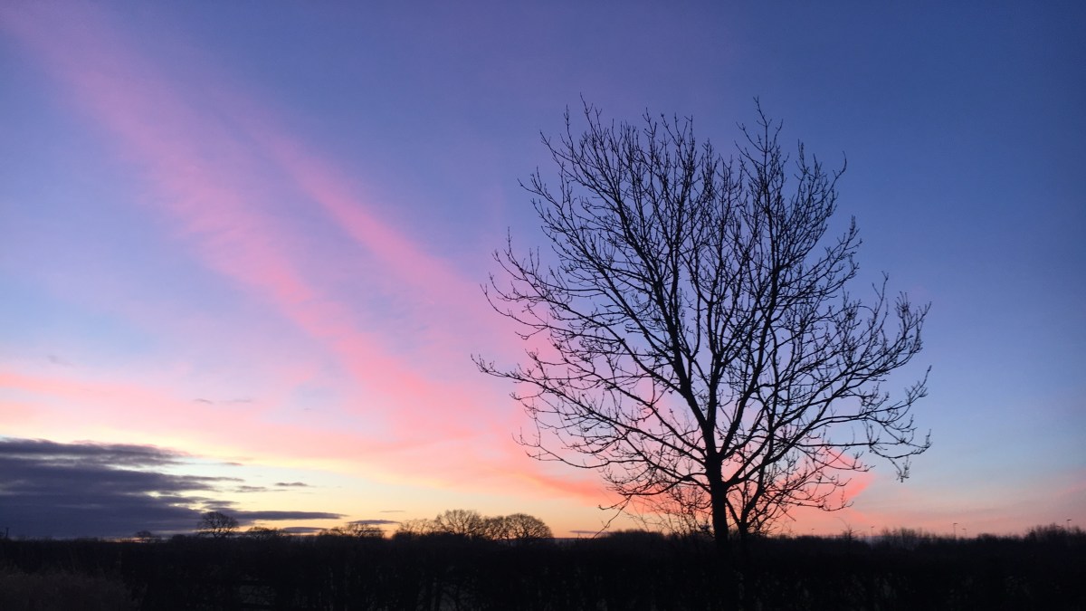 “Requirements simply don’t&nbsp;exist…