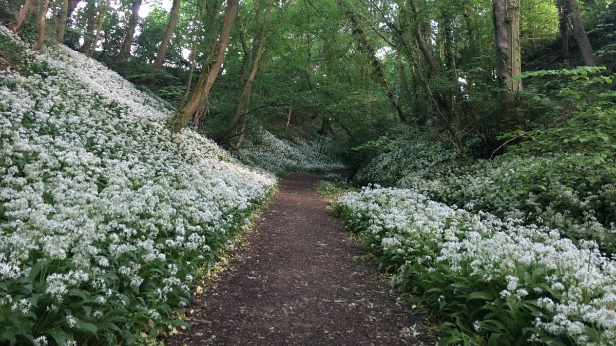 My Tools: Microsoft&nbsp;To-Do