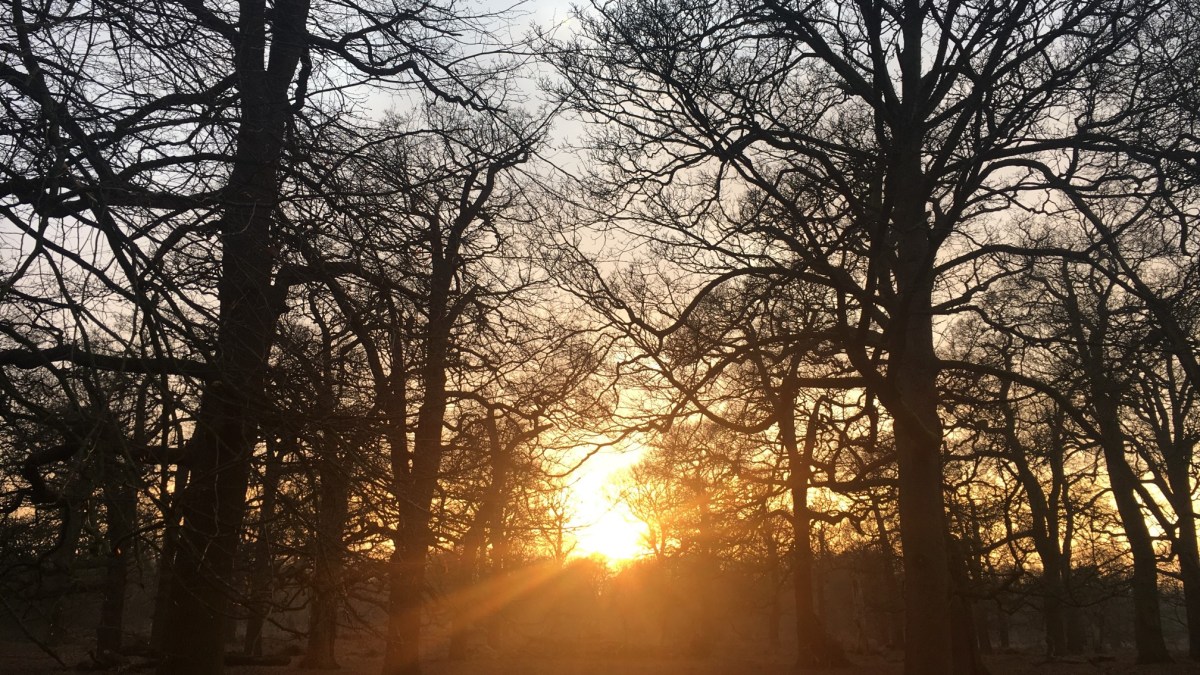 Walking to be Present – Being Here and&nbsp;Now