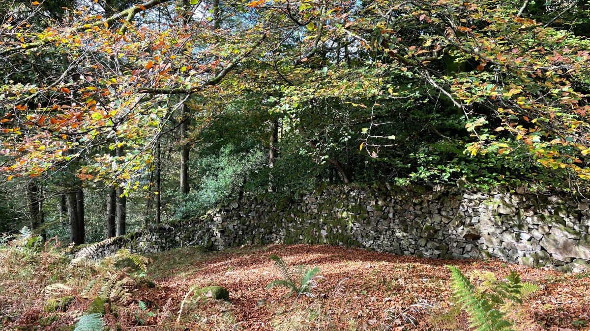 I’m reading…”Human kind” by Rutger&nbsp;Bregman