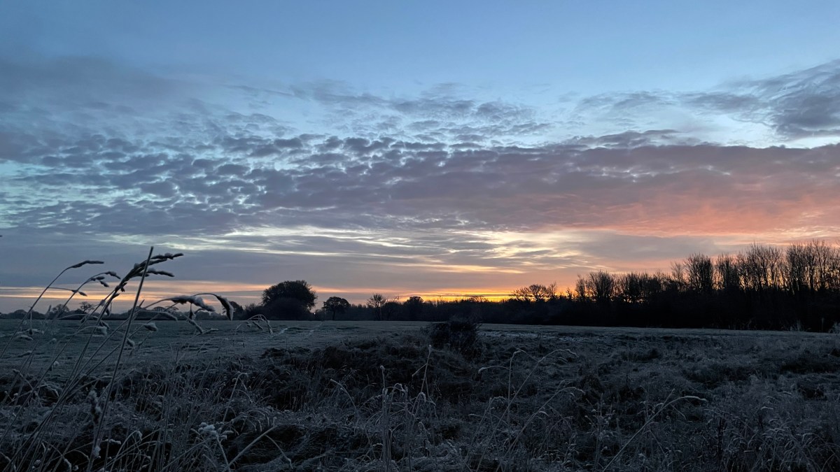 A Year in Review – 2021 on grahamchastney.com