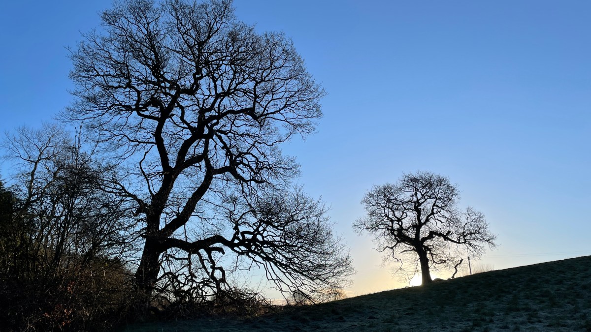 Walking and the Anxiety of&nbsp;Interactions