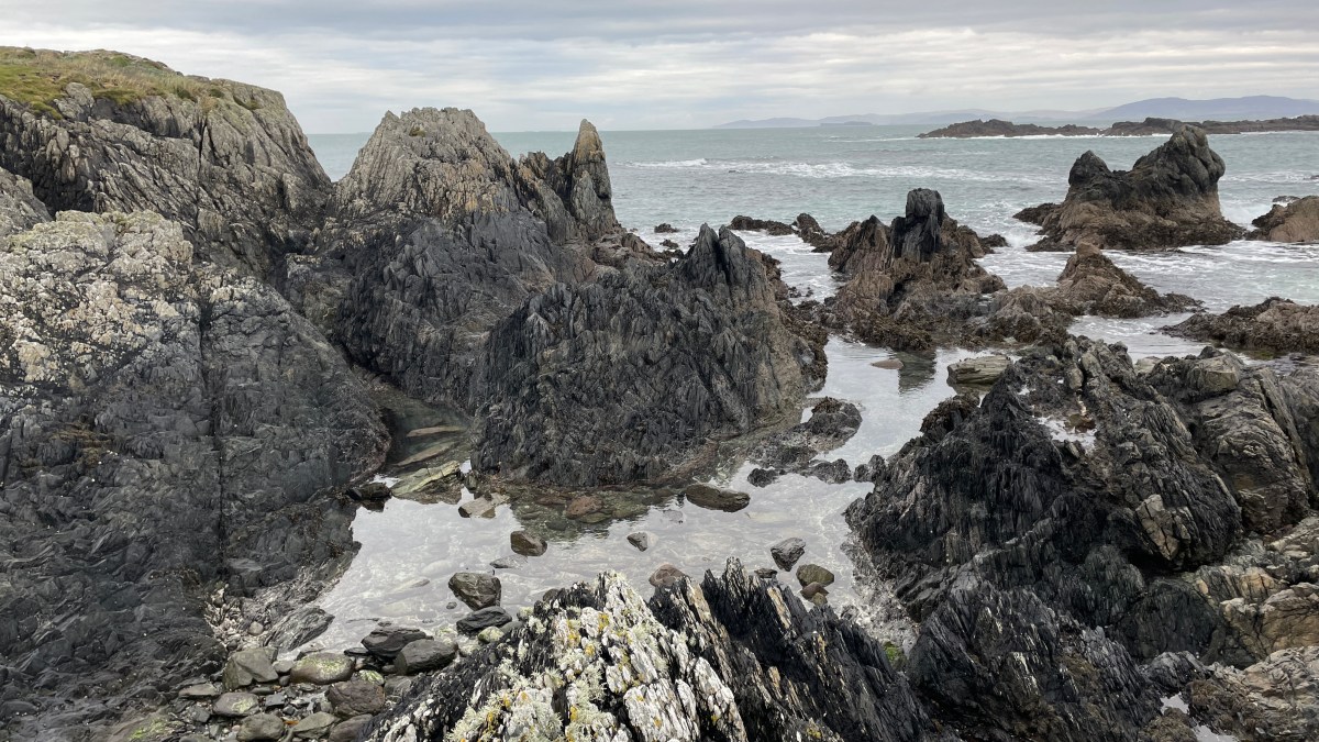 Office Speak: T-Shaped People – I’m not sure I’m any&nbsp;shape?