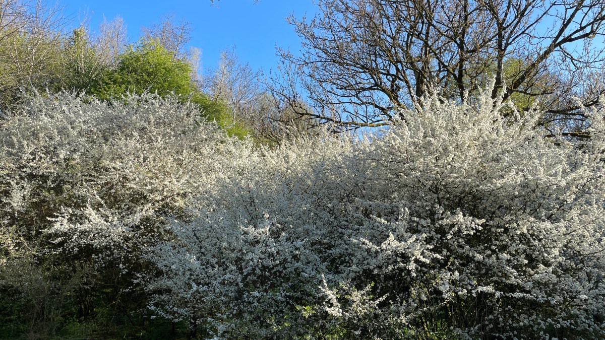 The Personality of Cable Connections – Do they talk to you as&nbsp;well?