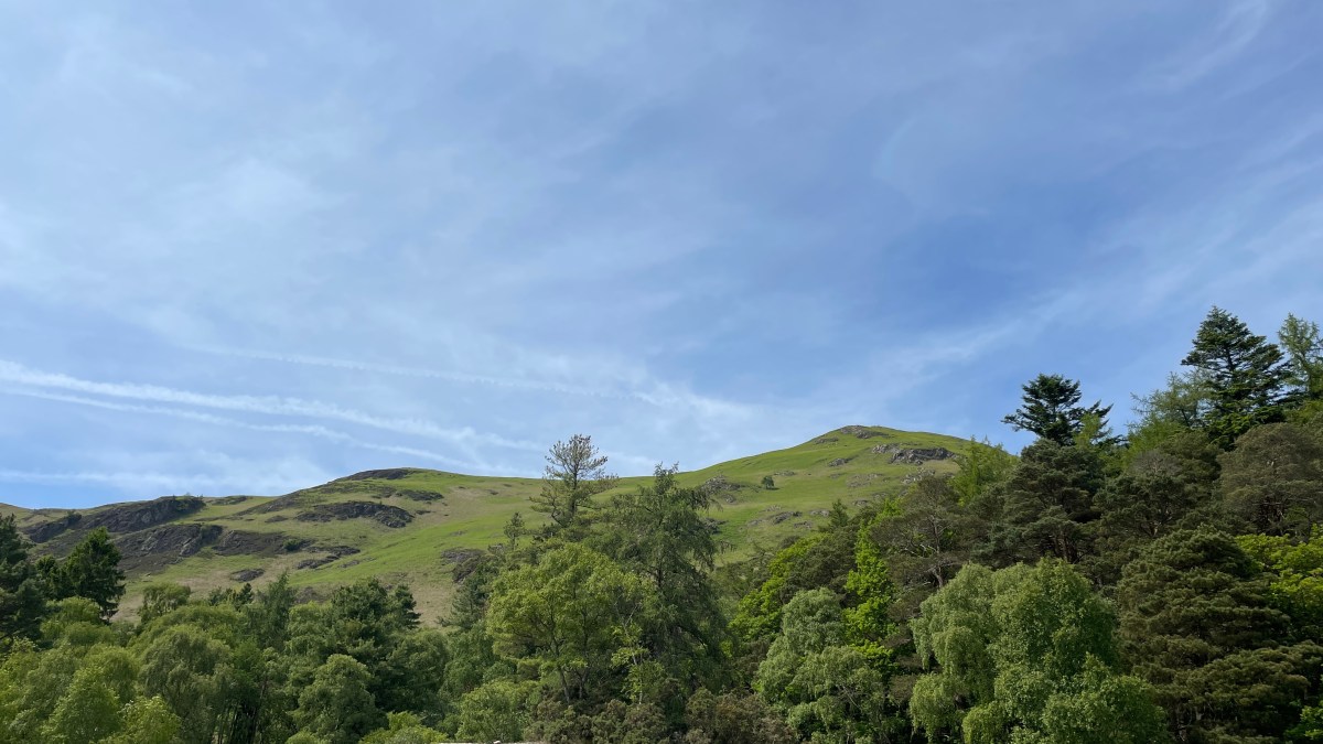 Automation Makes You Rigid and Brittle (and Speeds You&nbsp;Up)