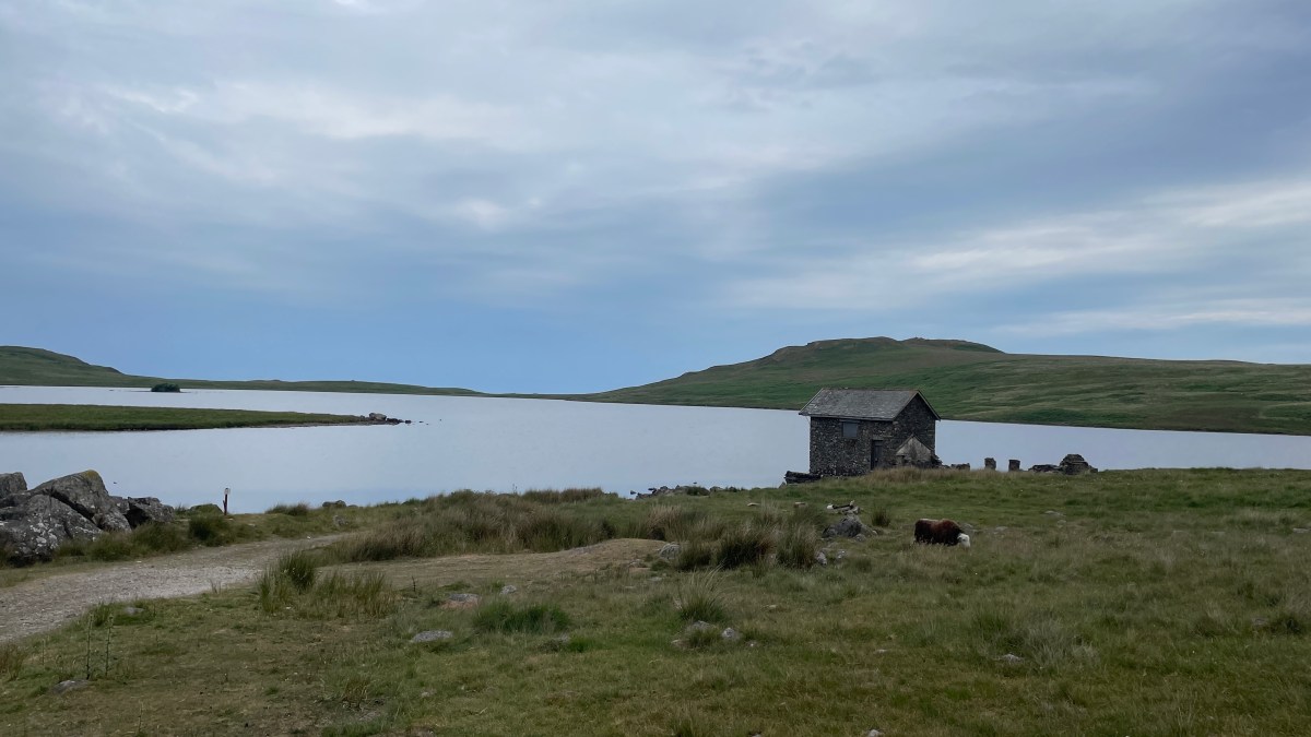 Questions are Powerful | Working&nbsp;Principles