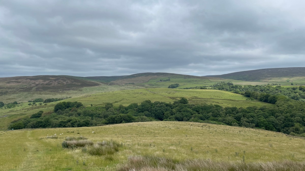 Writing for the reader | Working&nbsp;Principles