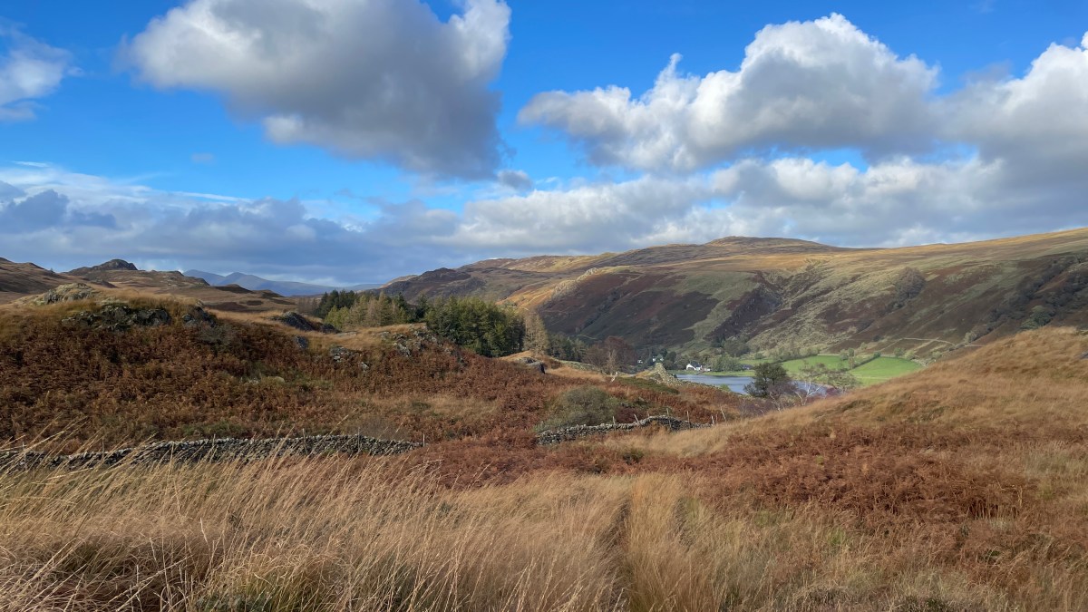 Working Principles – Top&nbsp;10