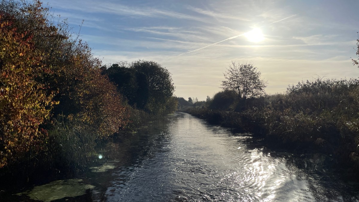 Less Haste, More Speed – Measure Twice, Cut Once | Working&nbsp;Principles