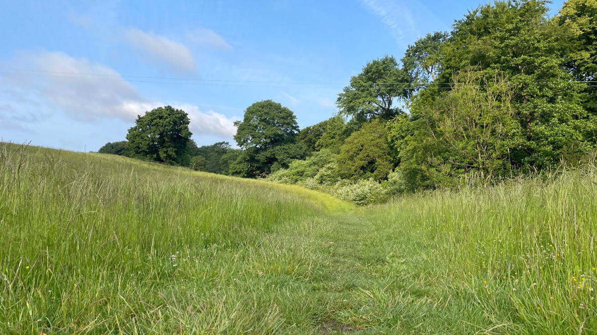 Clock House Farm, Cow Hill, Fulwood Park Wood and Ladywell Circular | Graham’s&nbsp;Guides