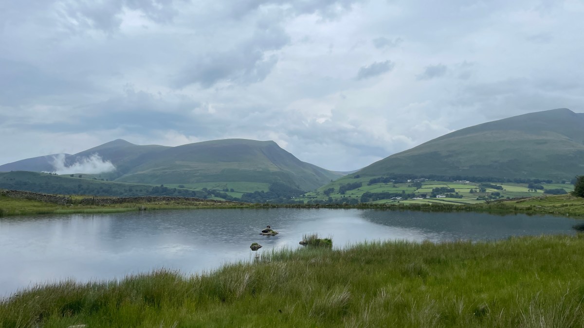 Office Speak: Word&nbsp;Salad