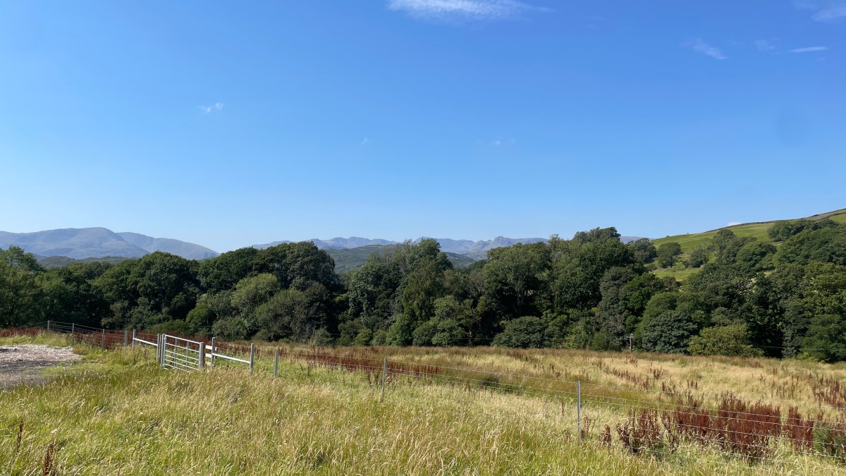 Tools form thinking – future thinking is framed by our tool experience | Working&nbsp;Principles