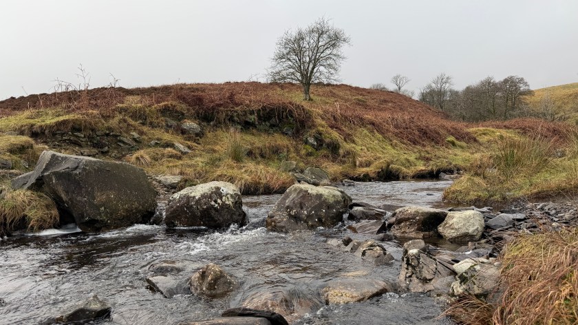 Sallows and Sour Howes above Kentmere Park | Birkett KEN 3 | Graham’s&nbsp;Guides